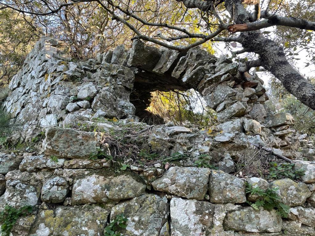 Appartamento Antica Casa Prile Castiglione della Pescaia Esterno foto